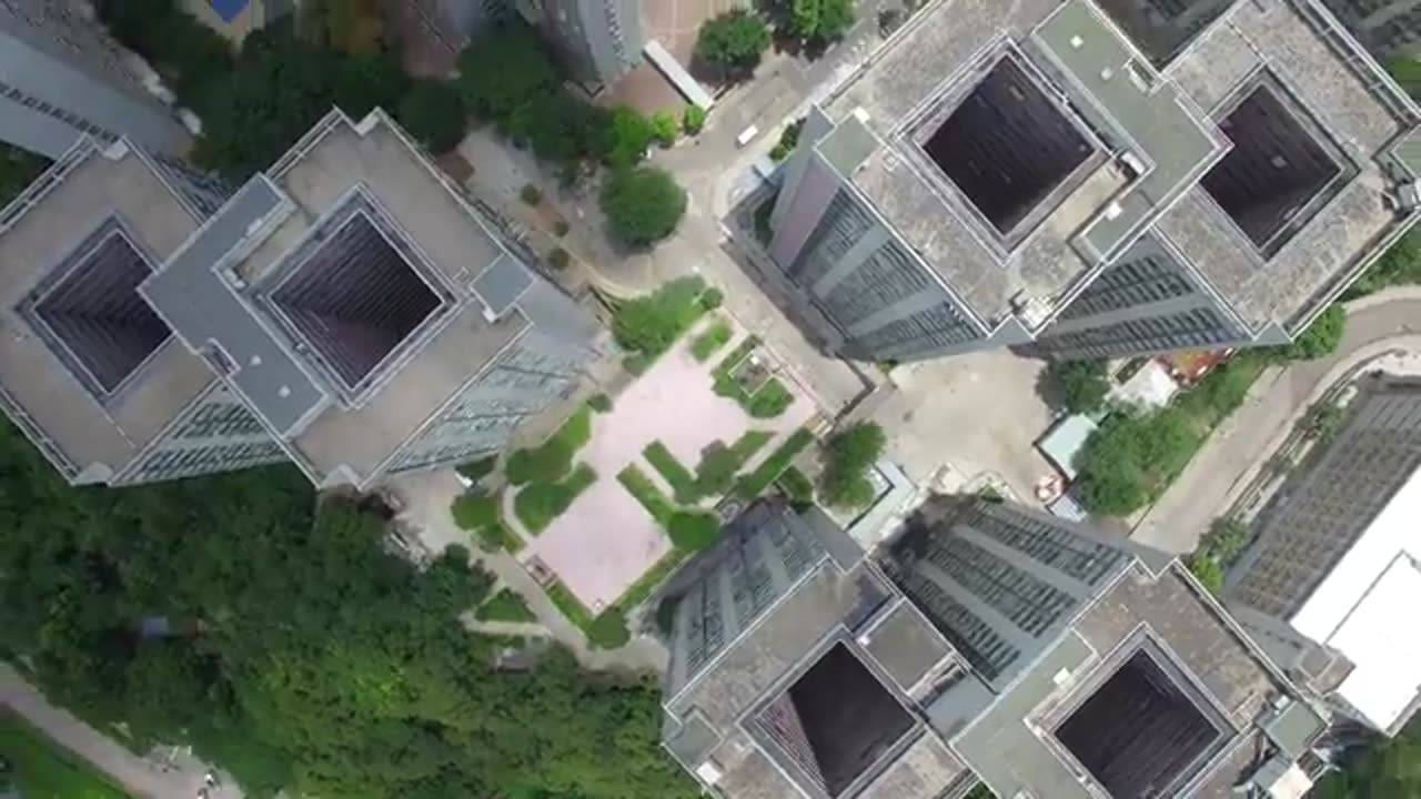 Amazing video watch full video