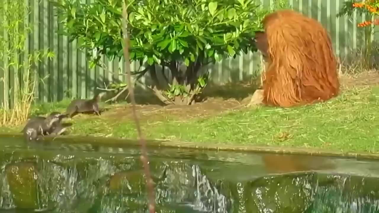 Don't Mess With The Wrong Opponent | HD
