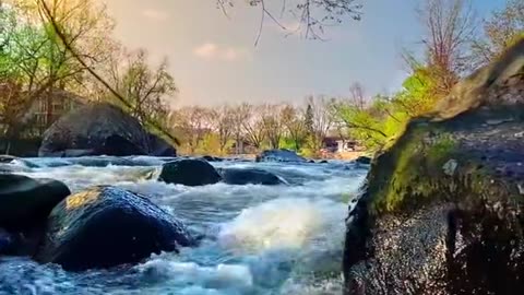 #nature #photography