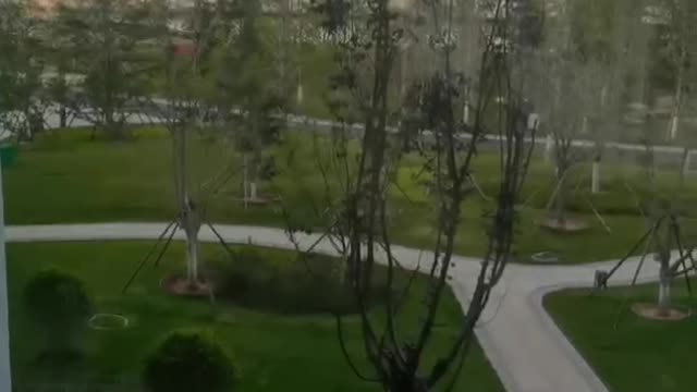 garden