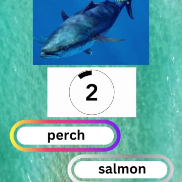 Fish Frenzy 12 A fast-paced quiz short