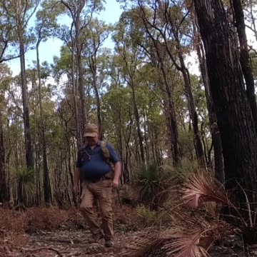 Beelu National Park Walk