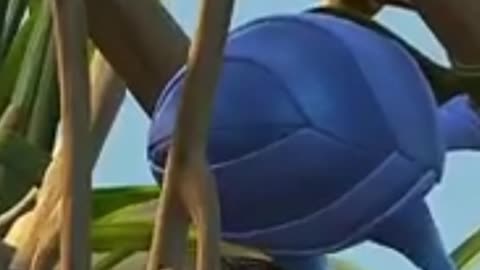 Flik's butt