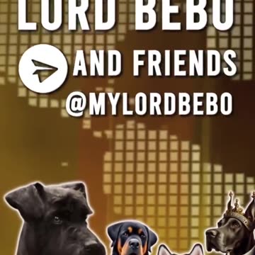 Hiding from recruiters (Kidnappers)