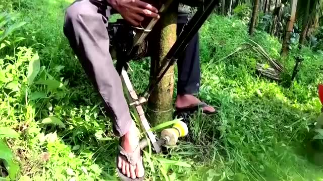 Indian farmer invents tree-climbing 'scooter'