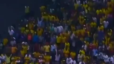 fans-video cricket lovers-video #cricket #cricketlover