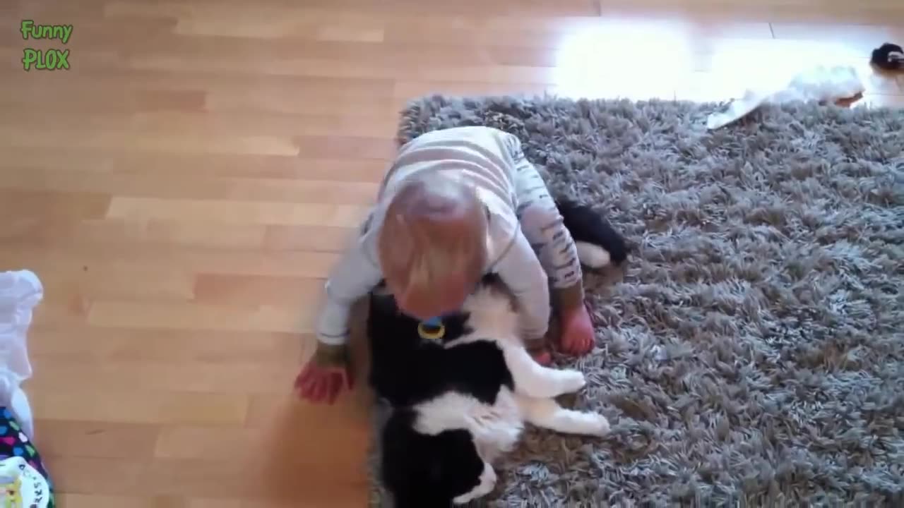 Laugh Out Loud with These Hilarious Cat and Dog Videos