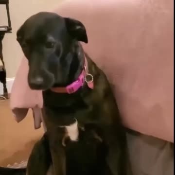 Charlene The Conspiracy Theorist