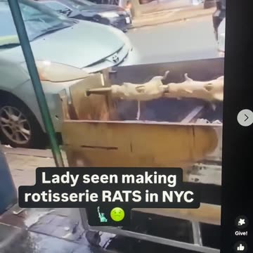 LADY COOKING RATS IN NYC
