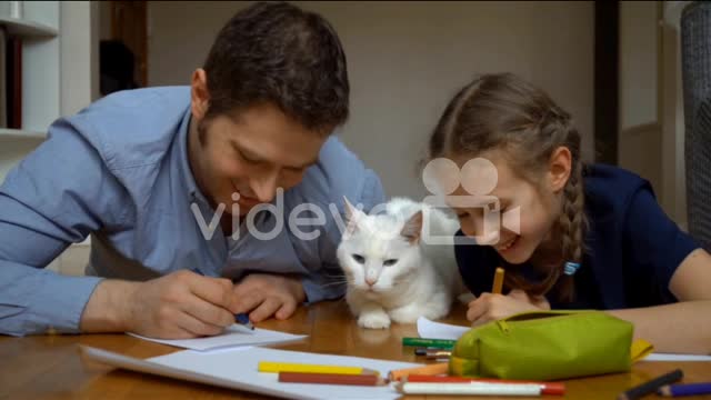 Video Of People Petting The Cat