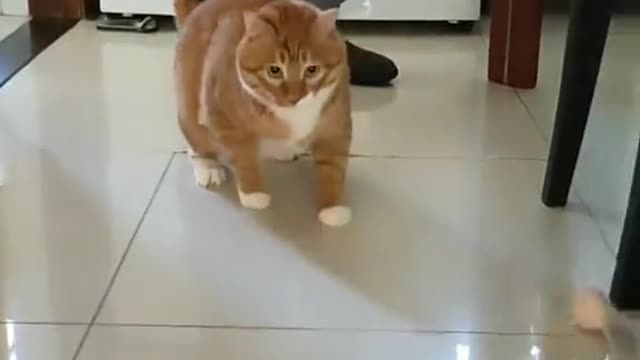 wait till the end...