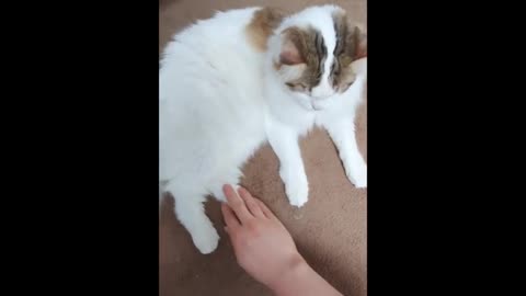 Don't touch my feet