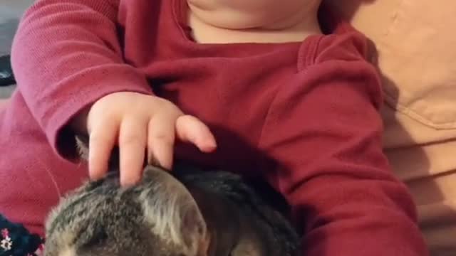 adorable baby boy watching netflix with his beloved dog