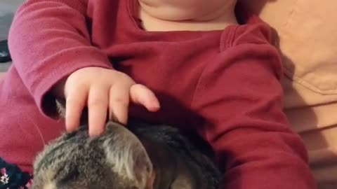 adorable baby boy watching netflix with his beloved dog