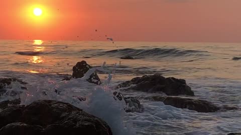 Sea Waves Crashing on Beach Shore During Golden Hour