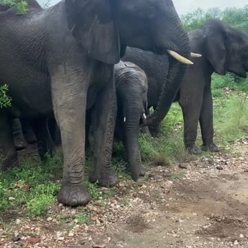 calm down, it was just a scare 😱😱😱