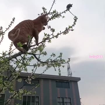 Close but no cigar 😂