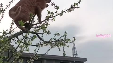 Close but no cigar 😂