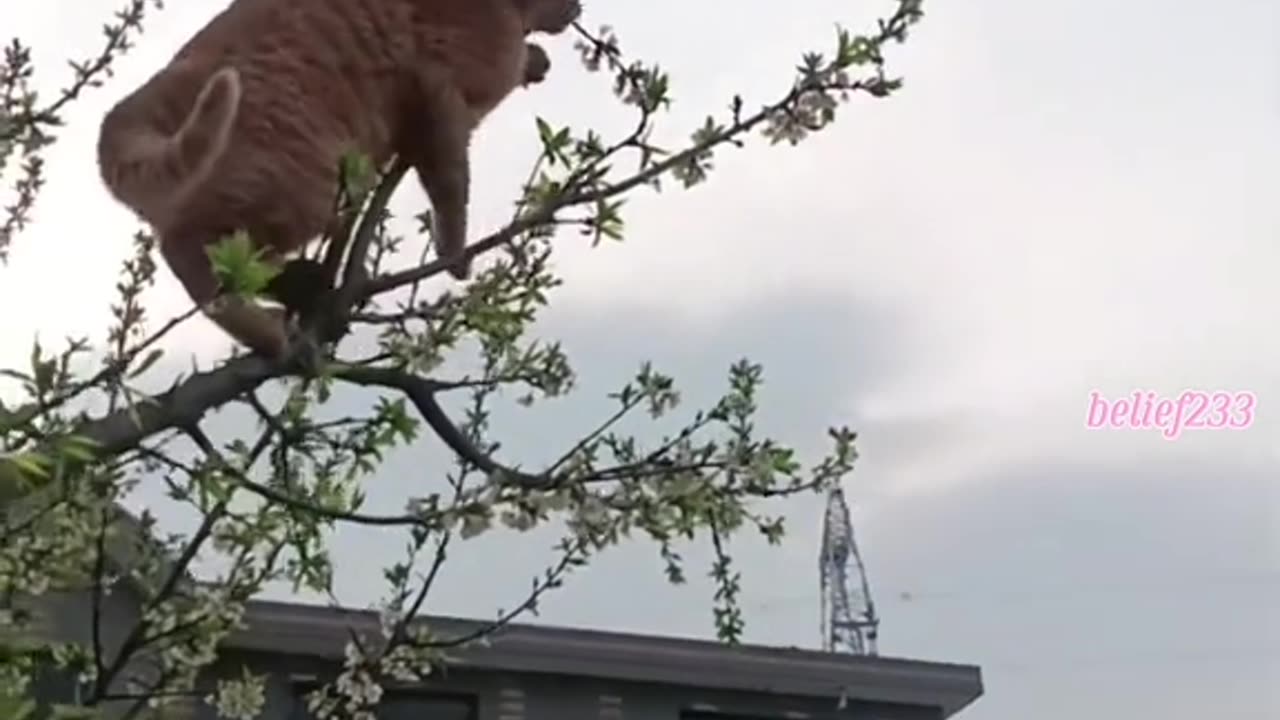 Close but no cigar 😂