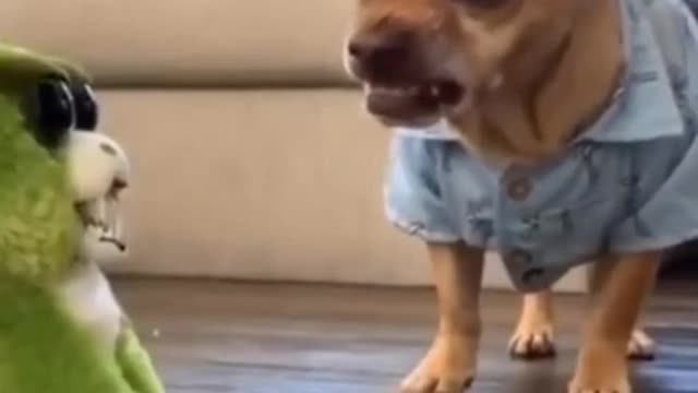 Funny Dog Scaring With Robot #Shorts #FunnyDog #Dog