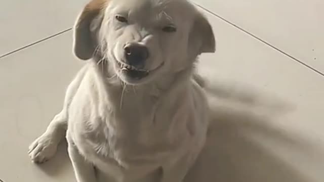 Remember to give your family and friends a big smile every day🥰🥰