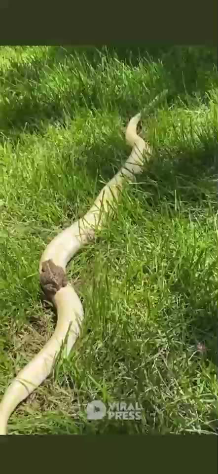 fzrtChbd3DJXR5G2h3dH3Q