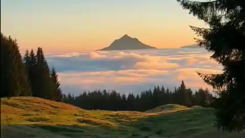 nature is life