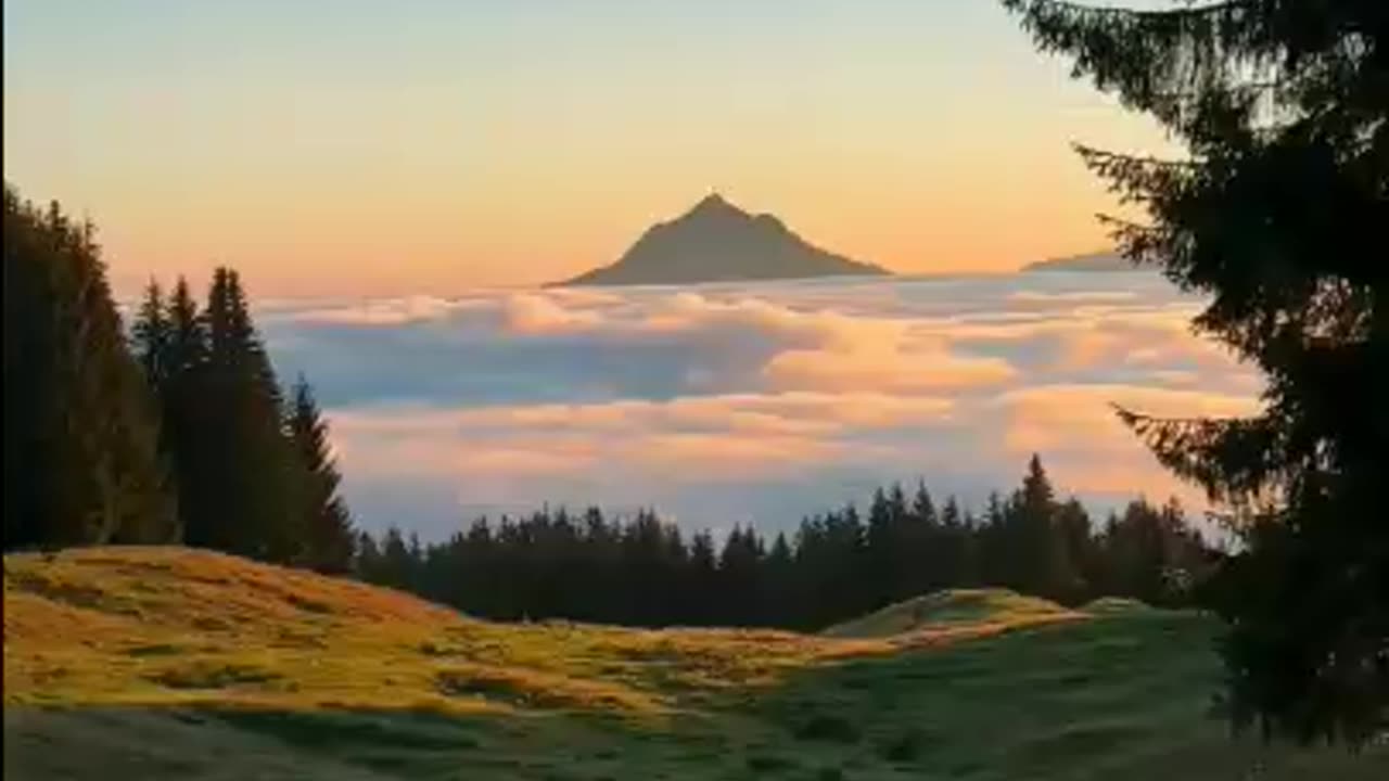 nature is life