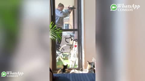Funny Videos