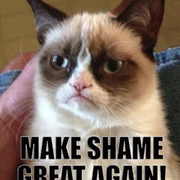 Make Shame Great Again!