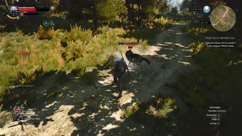 The Witcher 3 where cat and the wolf play part 2