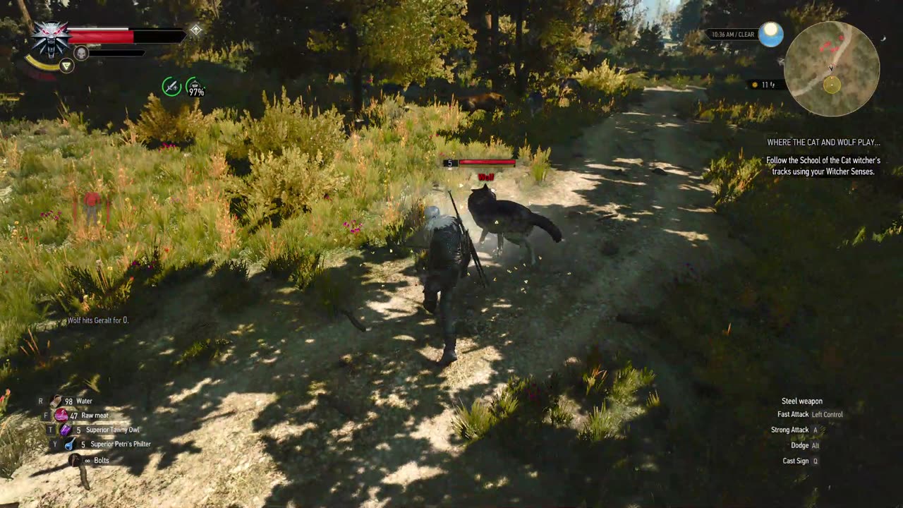 The Witcher 3 where cat and the wolf play part 2
