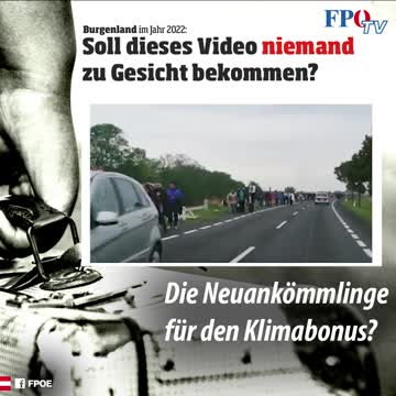 Migration austria these months