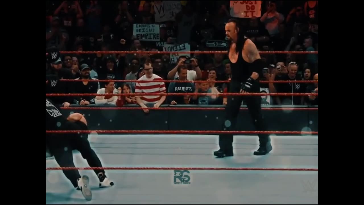 Roman Ring || Udertaker combine Fight