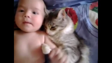 Funny And Cute Cats Love Babies 2015 NEW