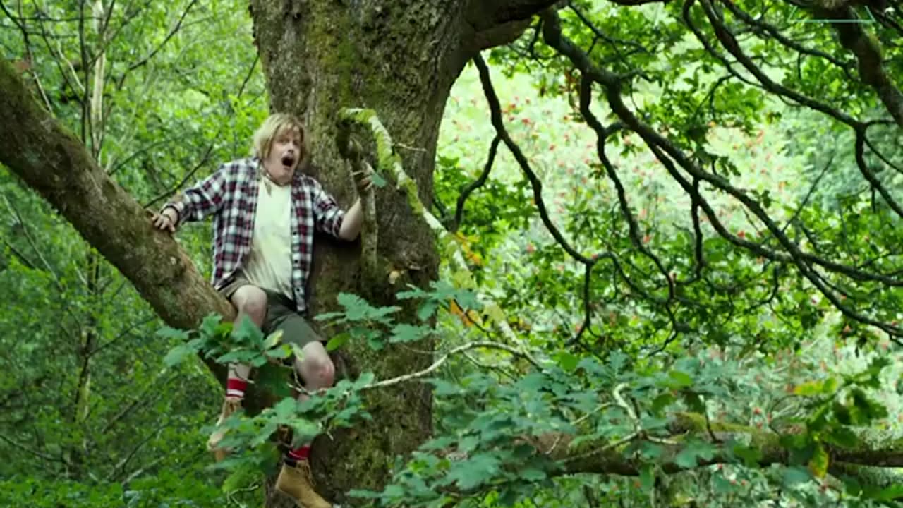 Don't go into the forest alone...!