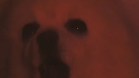 Gabe is running in the 90's