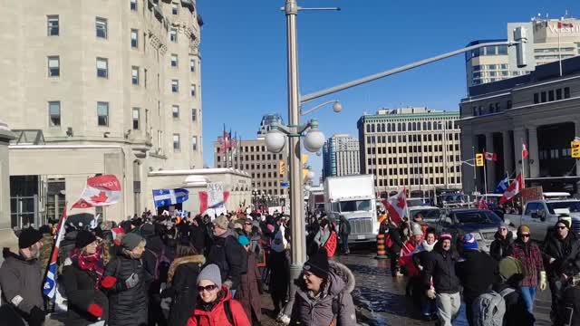 Freedom Convoy 2022 Uniting The Fringe