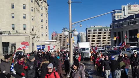 Freedom Convoy 2022 Uniting The Fringe