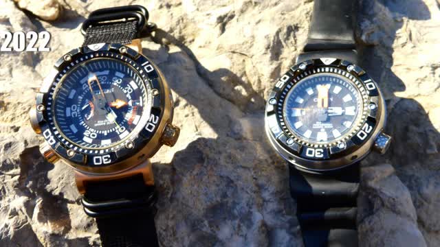 Citizen Eco Drive Collectors Watches