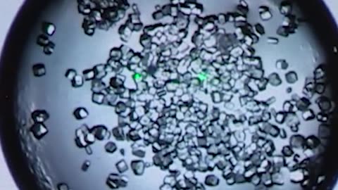 Protein Crystal Microscope Operations