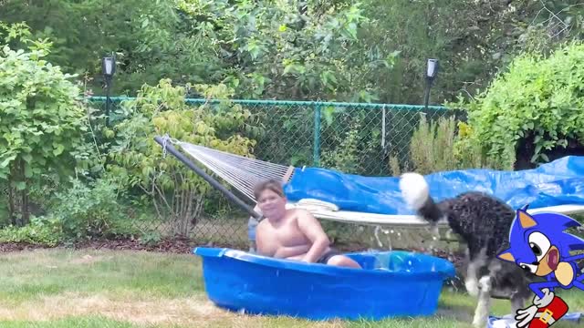 Try Not To Laugh Funny Videos - Summer Vacation Fails 😆😆