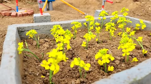 How to make mini water pump | Science project | Water tank construction