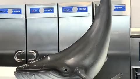 Chocolate whale