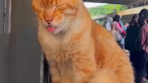 🇩🇪🇩🇪🇩🇪 Guten Morgen! Ich wünsche Ihnen einen schönen Arbeitstag!