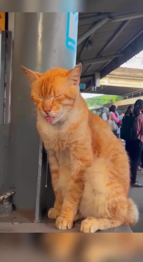 🇩🇪🇩🇪🇩🇪 Guten Morgen! Ich wünsche Ihnen einen schönen Arbeitstag!