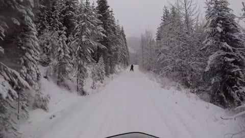 Snowmobiling in the Canadian Rockies