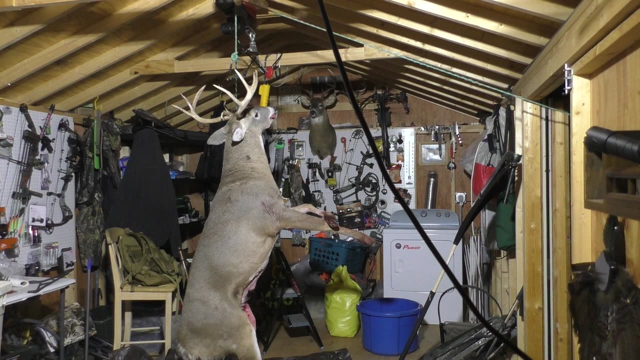 Underdog gets a buck