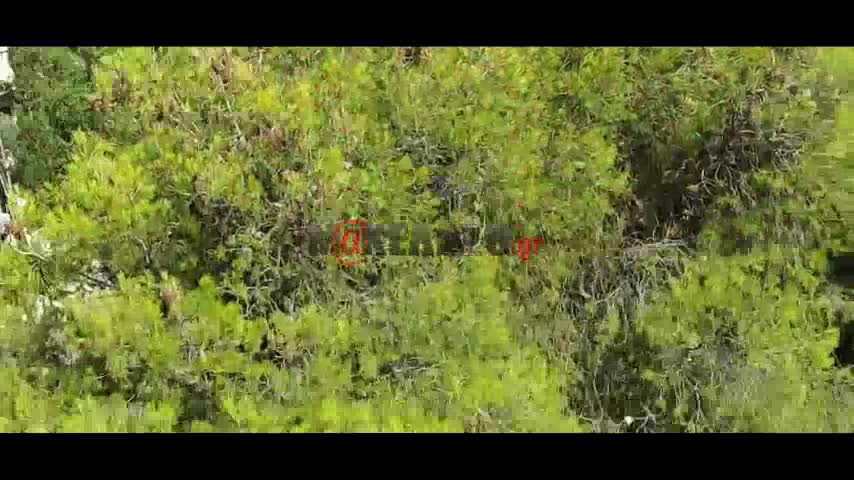 Πύρινο μέτωπο στη Βαρυμπόμπη