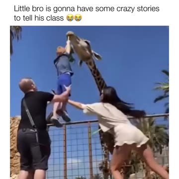Little bro is gonna have some crazy stories to tell his class 😄